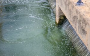 sewage-sludge